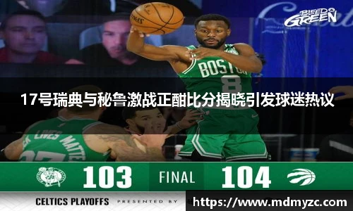 17号瑞典与秘鲁激战正酣比分揭晓引发球迷热议