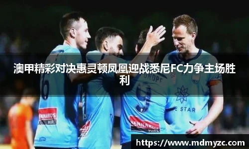 澳甲精彩对决惠灵顿凤凰迎战悉尼FC力争主场胜利